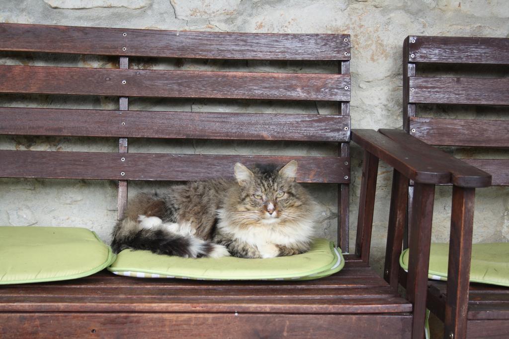 Casa Rural Ecologica Arrizurieta Μπερμέο Εξωτερικό φωτογραφία